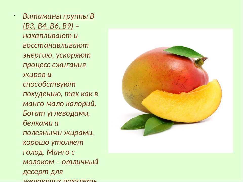 Как вырастить манго из косточки в домашних условиях