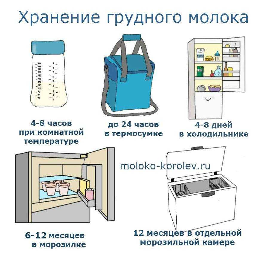 Сколько можно хранить молоко - база данных сроков хранения