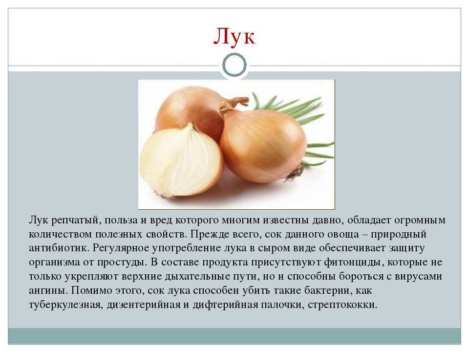 Применение луковой шелухи на огороде бабушкиным методом