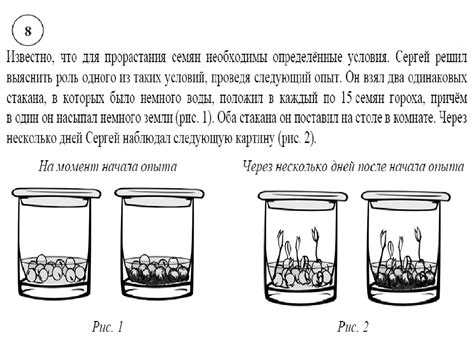 Как определить всхожесть семян?