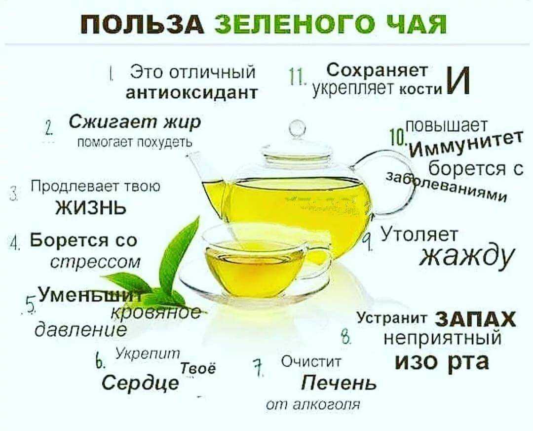 Спитой чай, кофе, яич.скорлупа, лук. шелуха. обсуждение на liveinternet