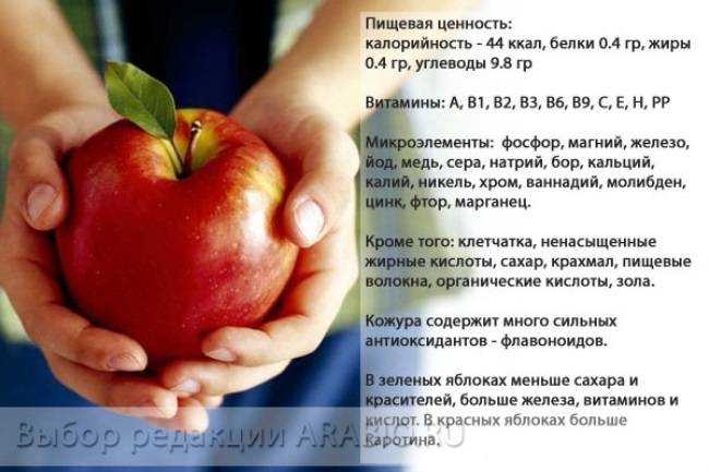 Яблоки: польза и вред для здоровья женщин и мужчин