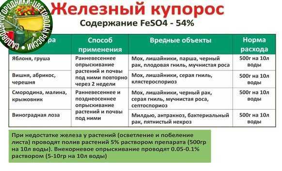 Железный купорос – применение в саду и огороде