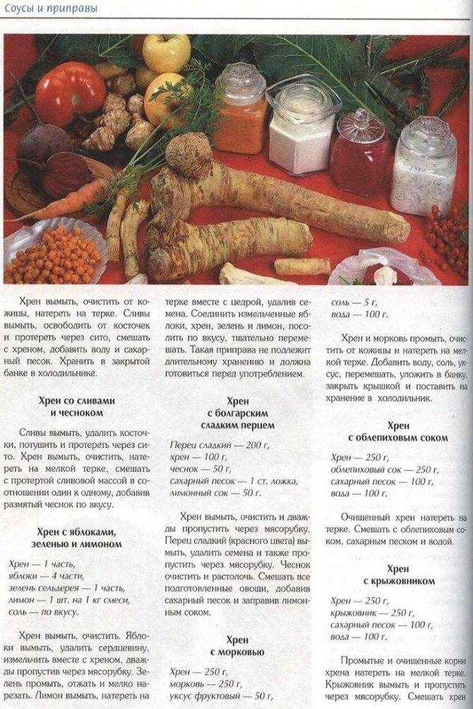 Хреновина из помидор и хрена с чесноком на зиму – классические рецепты приготовления