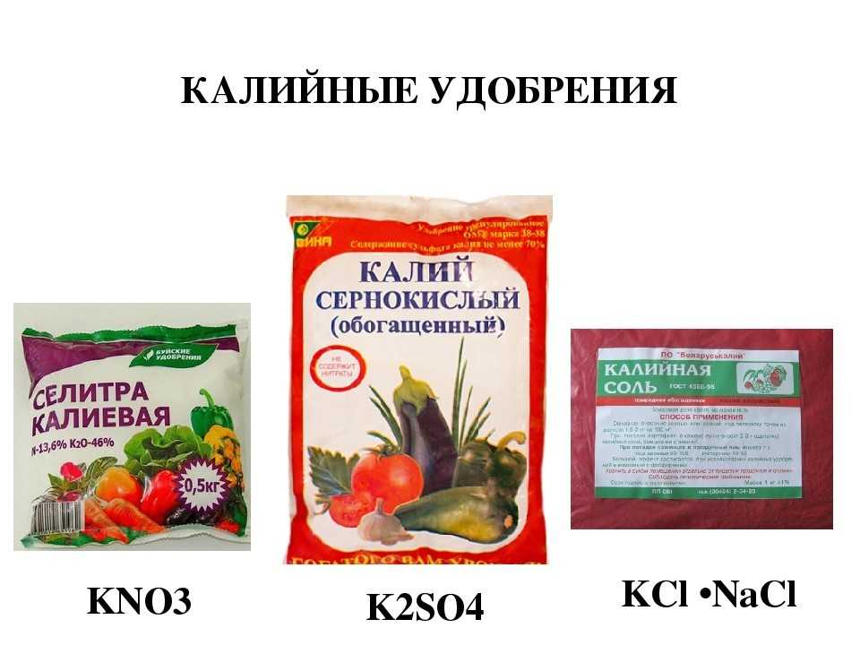 ✅ калийные удобрения: что это такое, значение, применение, виды и их названия, как применять подкормку на огороде