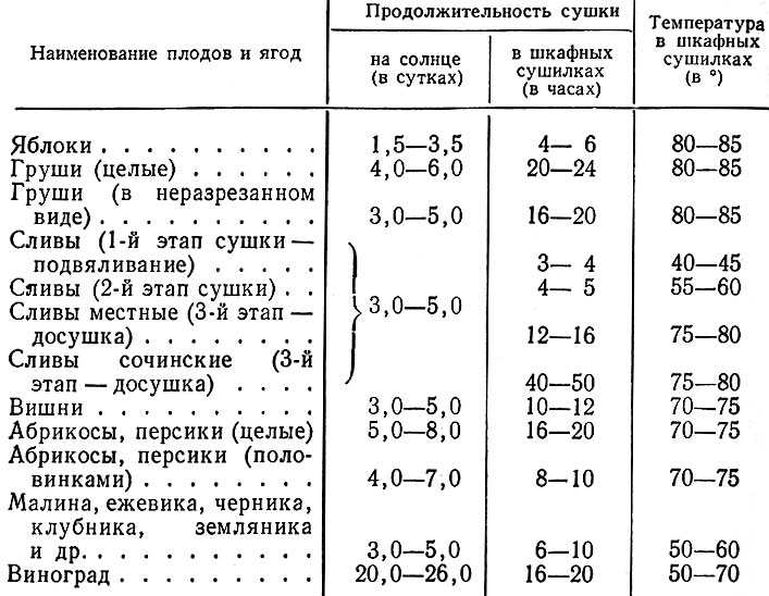Гренки из черного хлеба с чесноком и не только. как приготовить вкусные сухарики в духовке и на сковороде