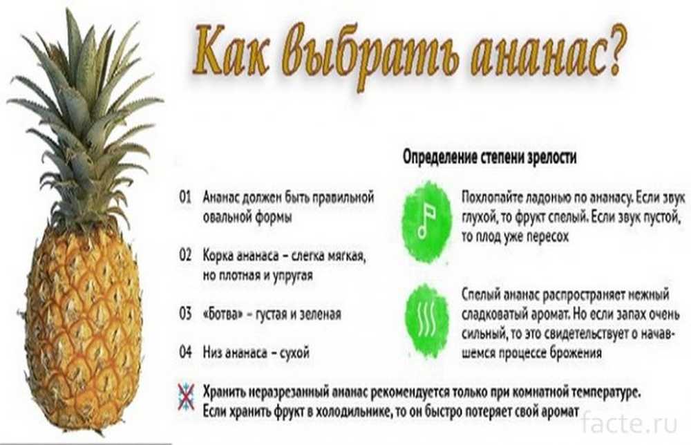 Где и как хранить ананас: чтобы дозрел и не испортился