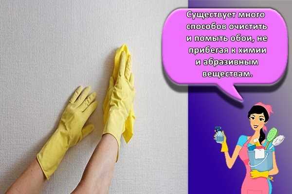 Виниловые обои: особенности, виды, уход и как клеить?