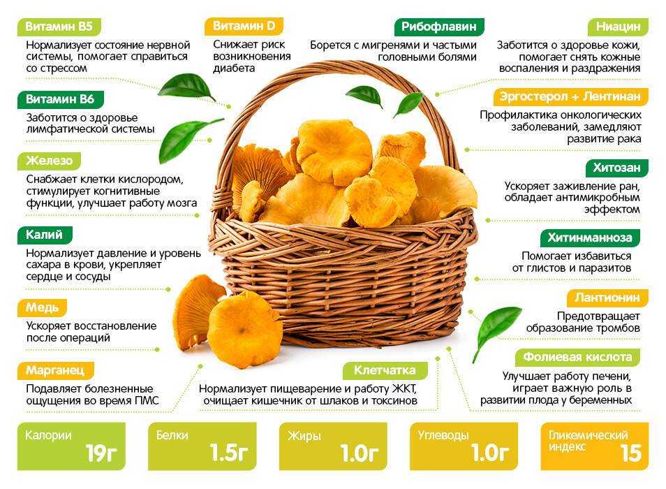 Как правильно хранить грибы лисички зимой и сроки годности продукта