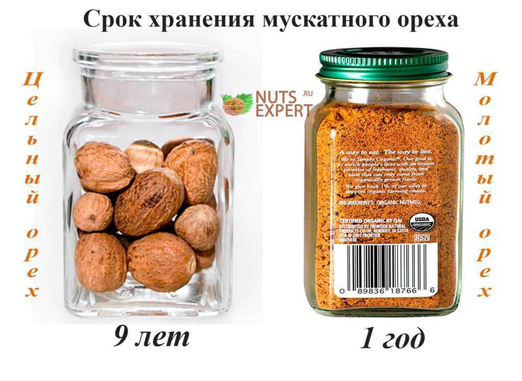 Как хранить очищенные грецкие орешки – способы хранения