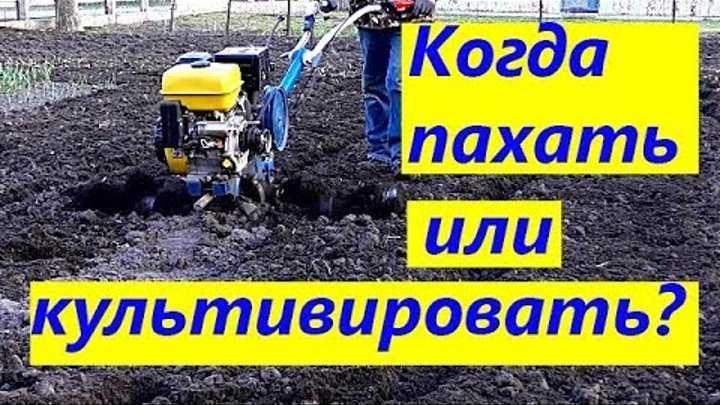 Чем удобрить почву осенью после уборки урожая: какие удобрения вносить