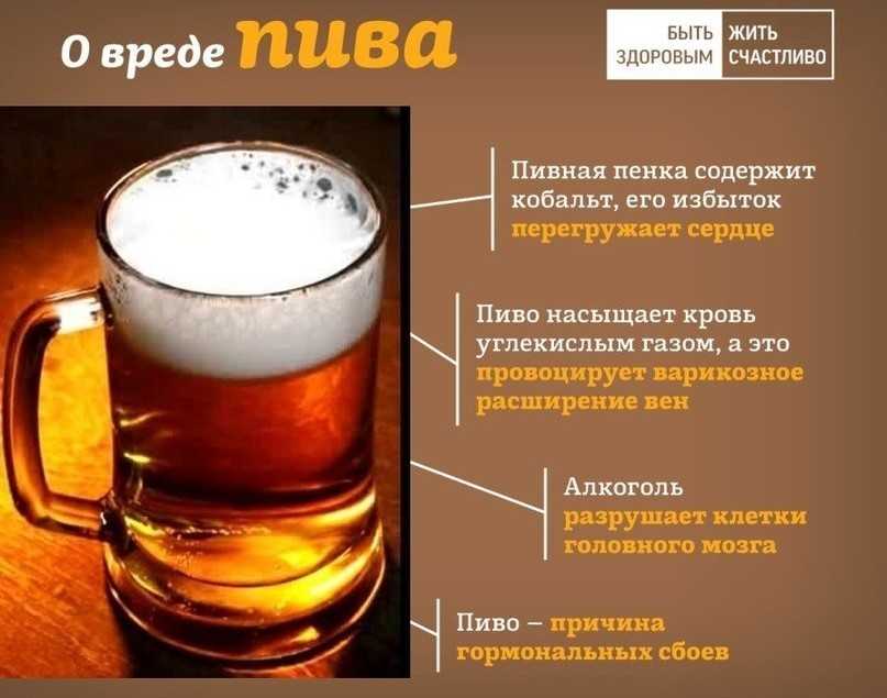 Можно ли хранить пиво в морозилке и что сделать с замерзшим напитком?