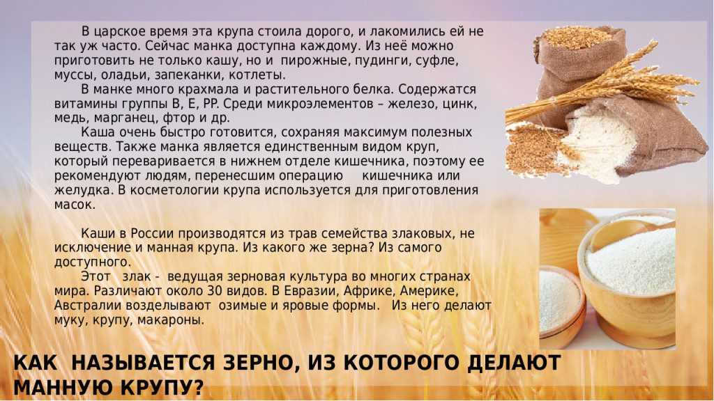 Манная крупа из какого злака польза и вред. из чего и как делают манную крупу, ее виды и свойства