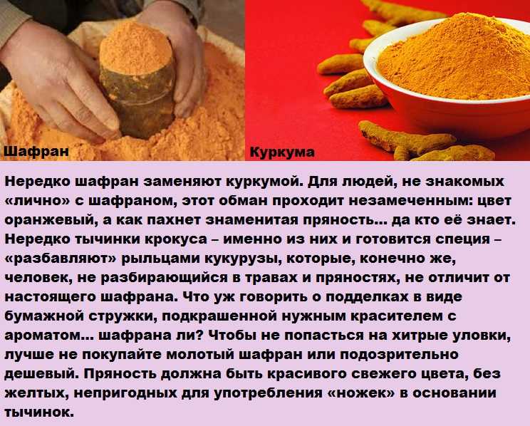 Приправа шафран - полезные свойства и все способы ее применения
