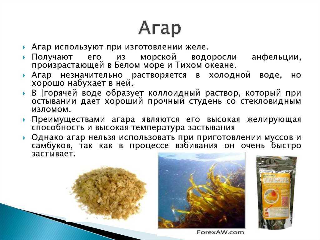 Знакомый и незнакомый агар-агар