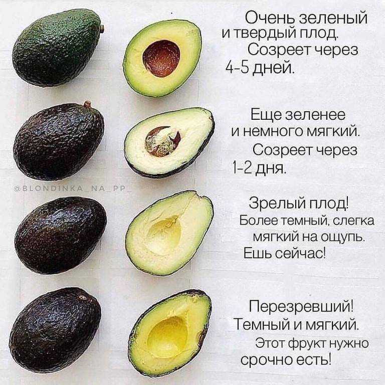 Король восточных фруктов: как правильно выбрать вкусный гранат на прилавках нового уренгоя