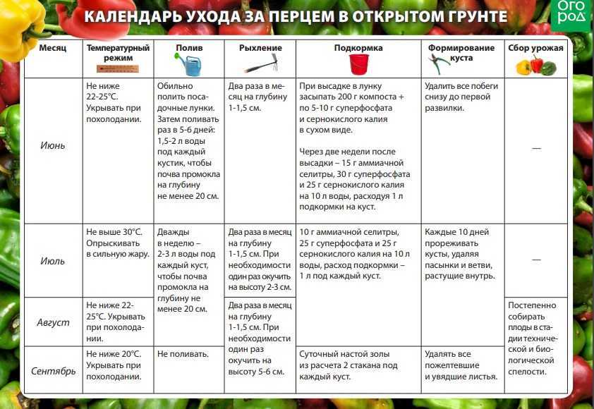 Что выгодно выращивать в теплице на продажу?