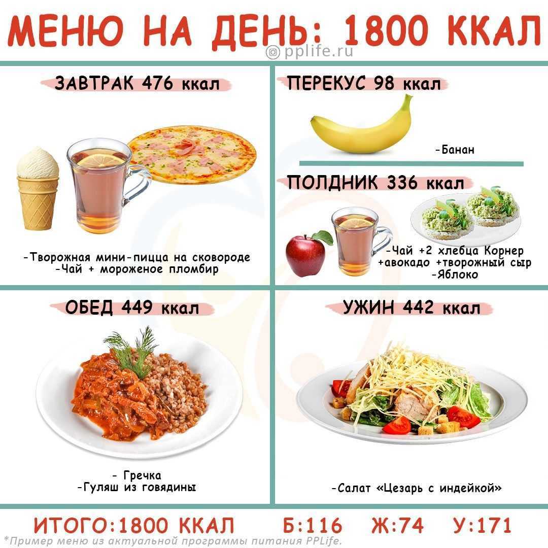 1800 калорий в день меню на неделю. принципы построения правильного меню | я худею