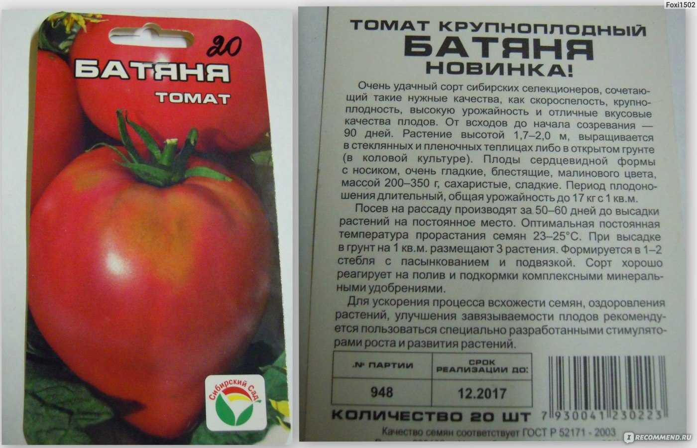 Лучшие сорта моркови для хранения на зиму: топ-15 самых лежких и сладких