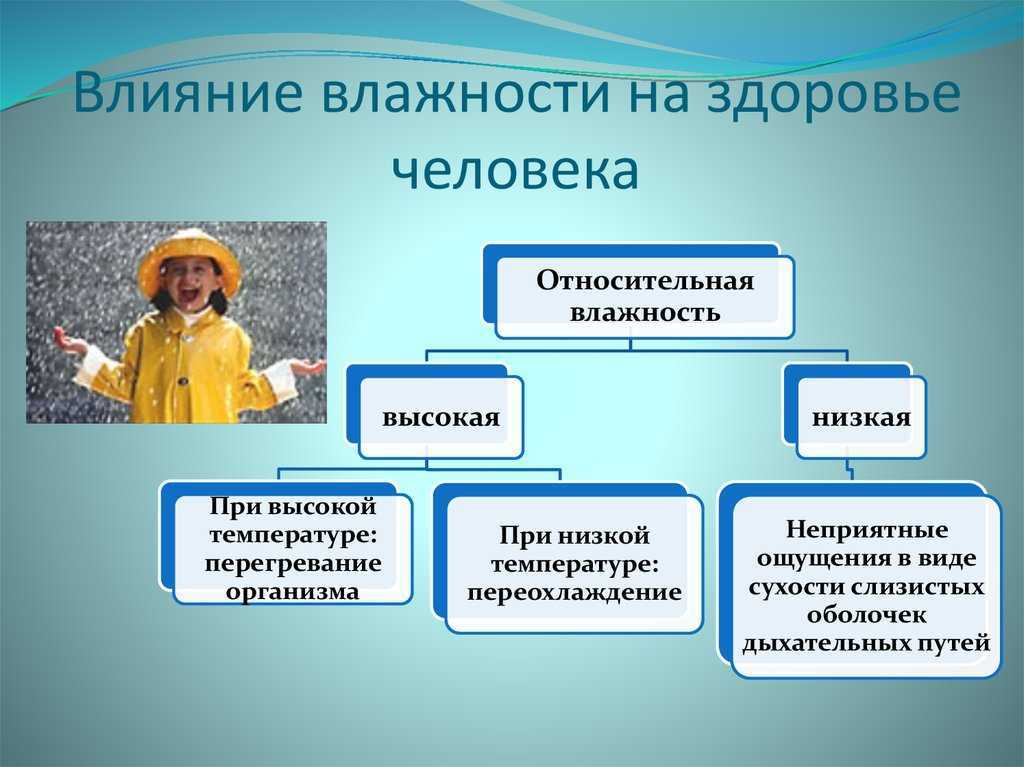 Нормальная влажность воздуха в квартире, какая должна быть