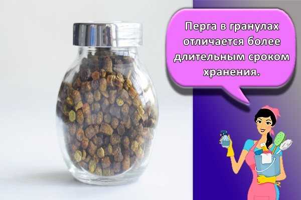 Мед с пергой сколько хранится. пчелиная перга: как и сколько хранить пыльцу в домашних условиях