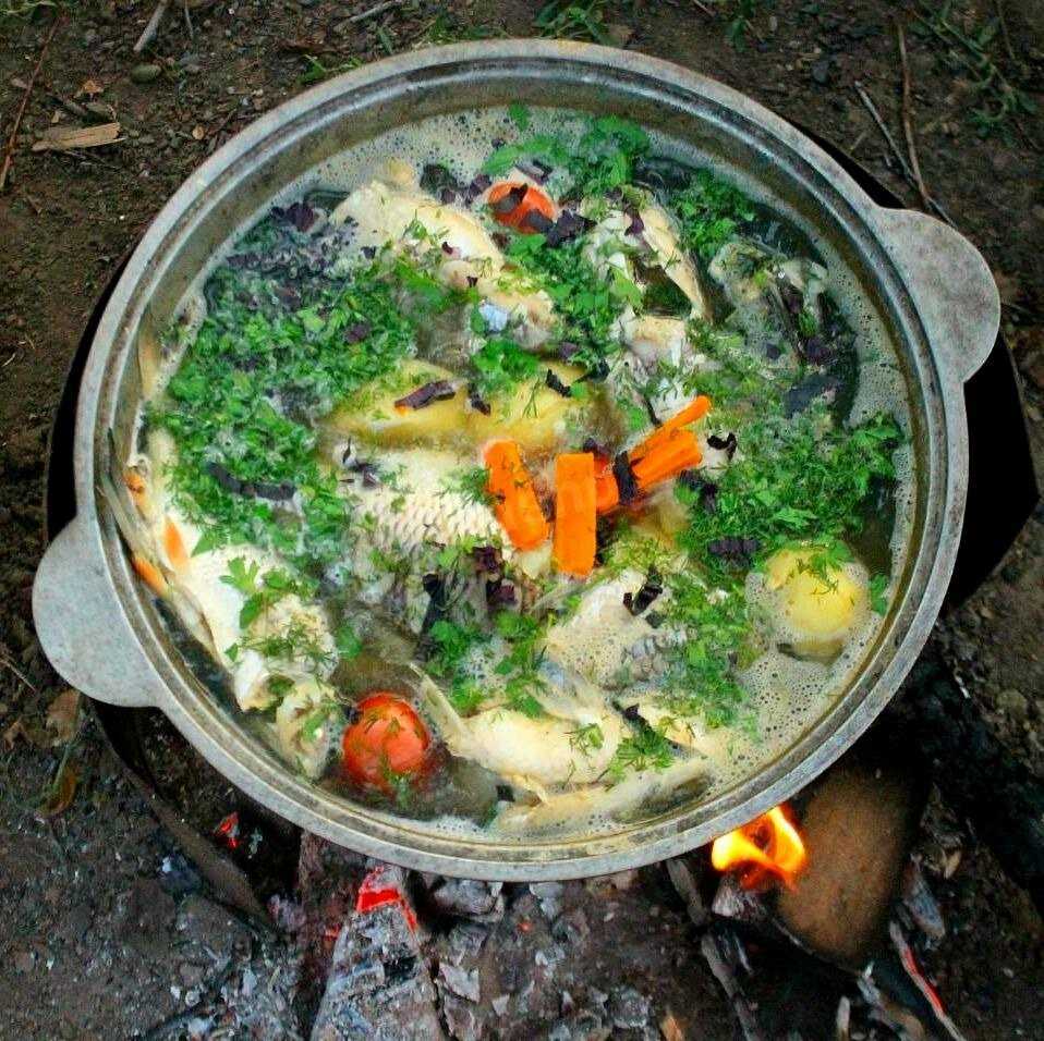 Вкусные рецепты ухи в казане на мангале: лучшее от playboy
