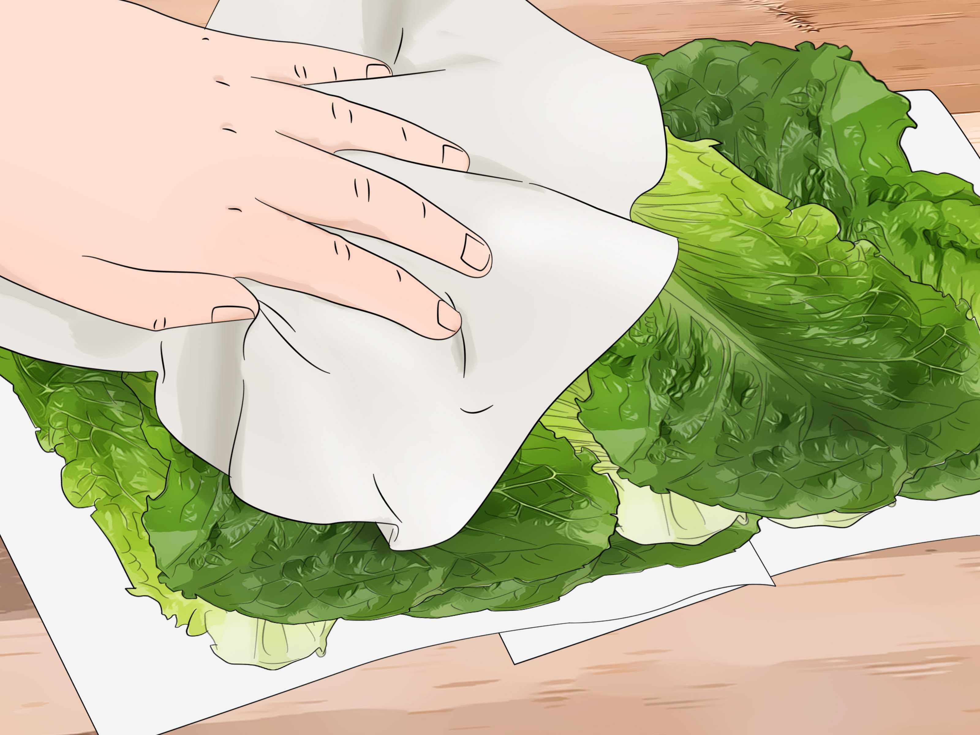 Как понять, что мясо испортилось? инструкция, как действовать