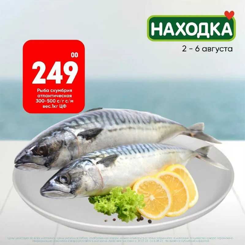 Сколько оливок в день нужно есть, чтобы быть здоровым, и почему свежие плоды не годятся к употреблению