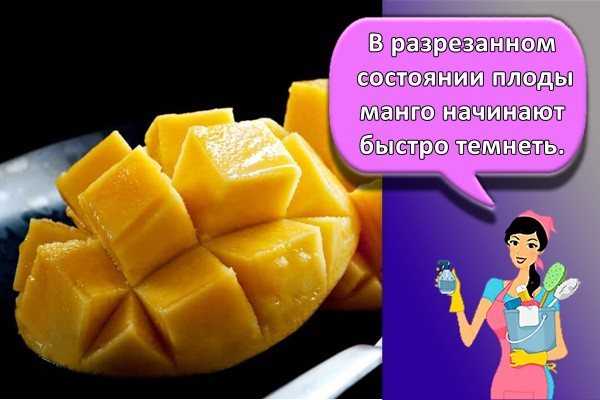 Температура хранения продуктов