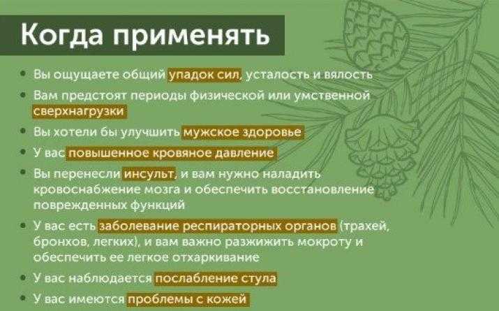 Варенье из сосновых шишек - как готовить варенье из шишек сосны