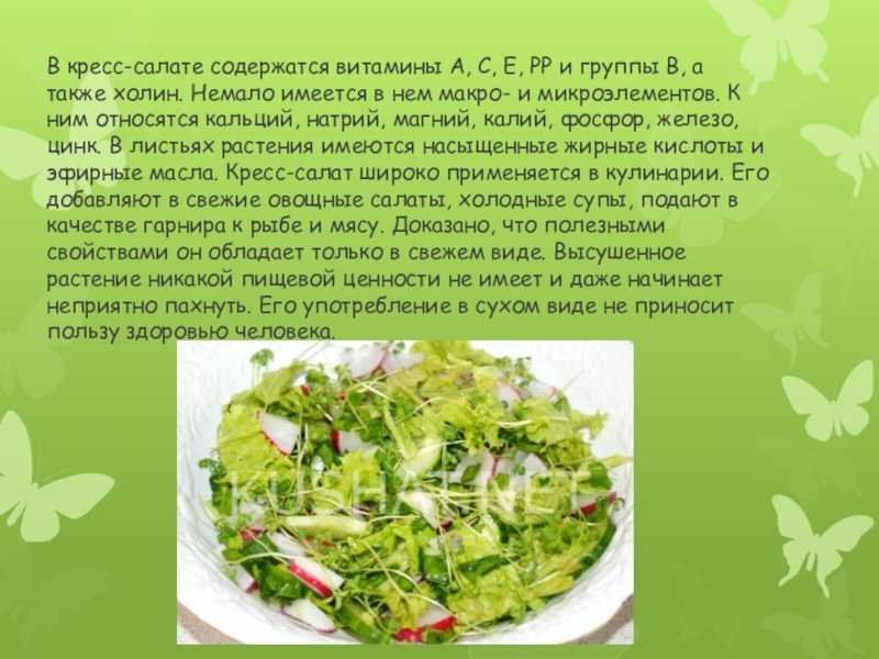 Топ-10 популярных рецептов из микрозелени