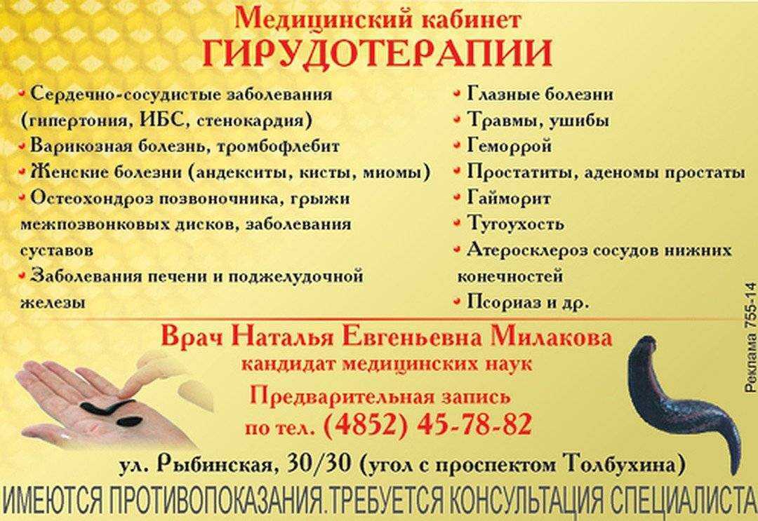 Покупка и хранение пиявок. пиявки: домашняя гирудотерапия