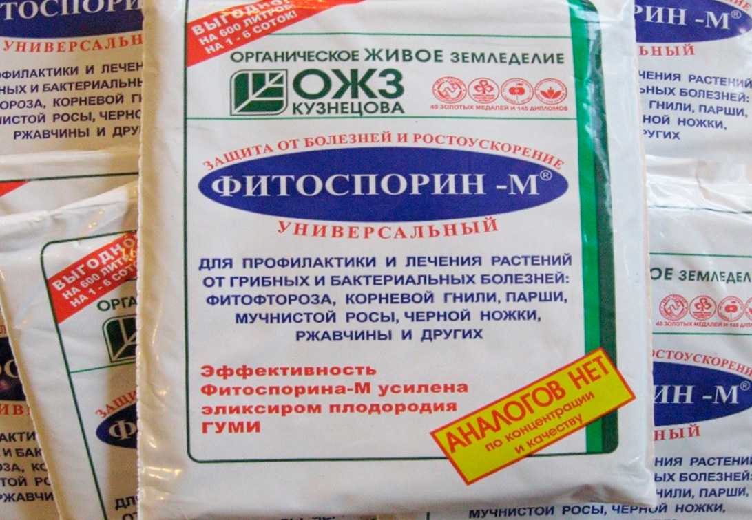 Фитоспорин порошок: инструкция по применению для рассады помидор и комнатных растений