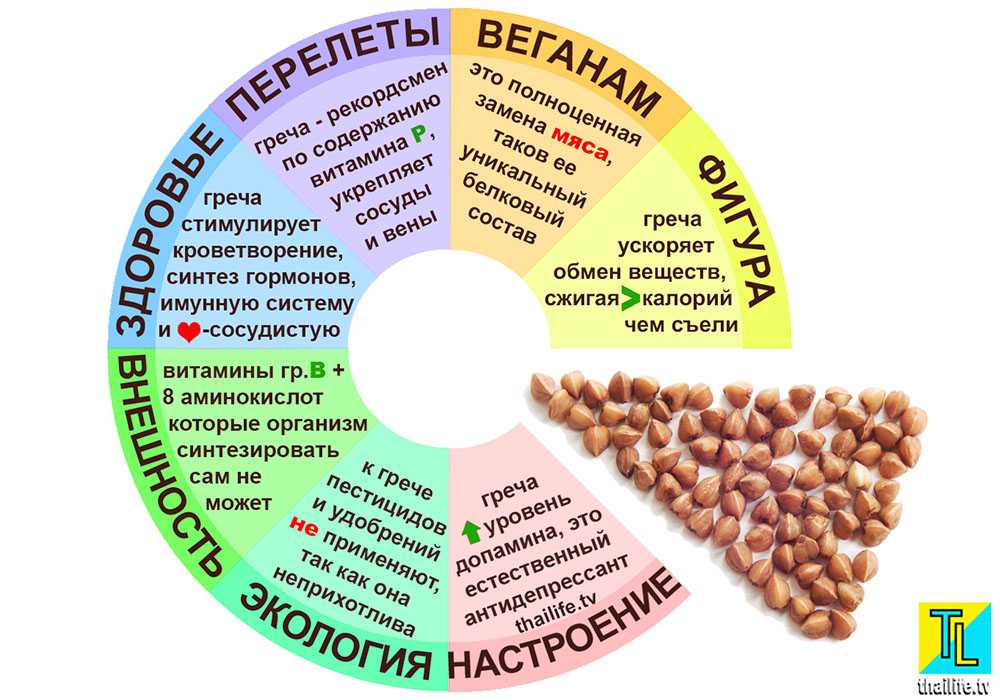 Польза гречки и гречневой каши, а так же её вред для организма