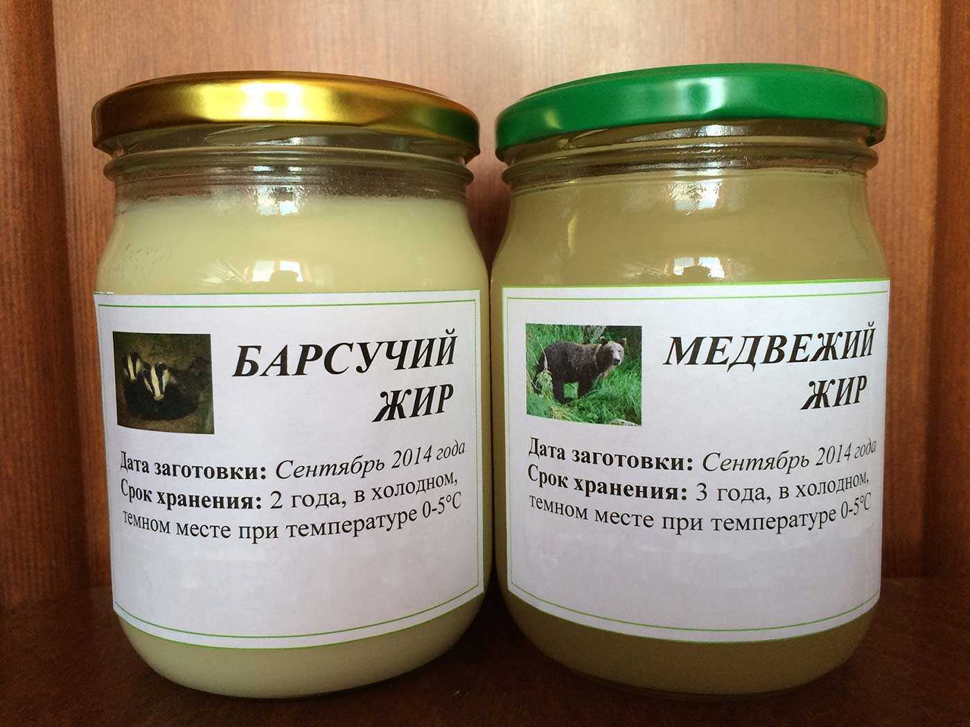 Средство против ста недугов — медвежий жир: лечебные свойства и противопоказания к применению