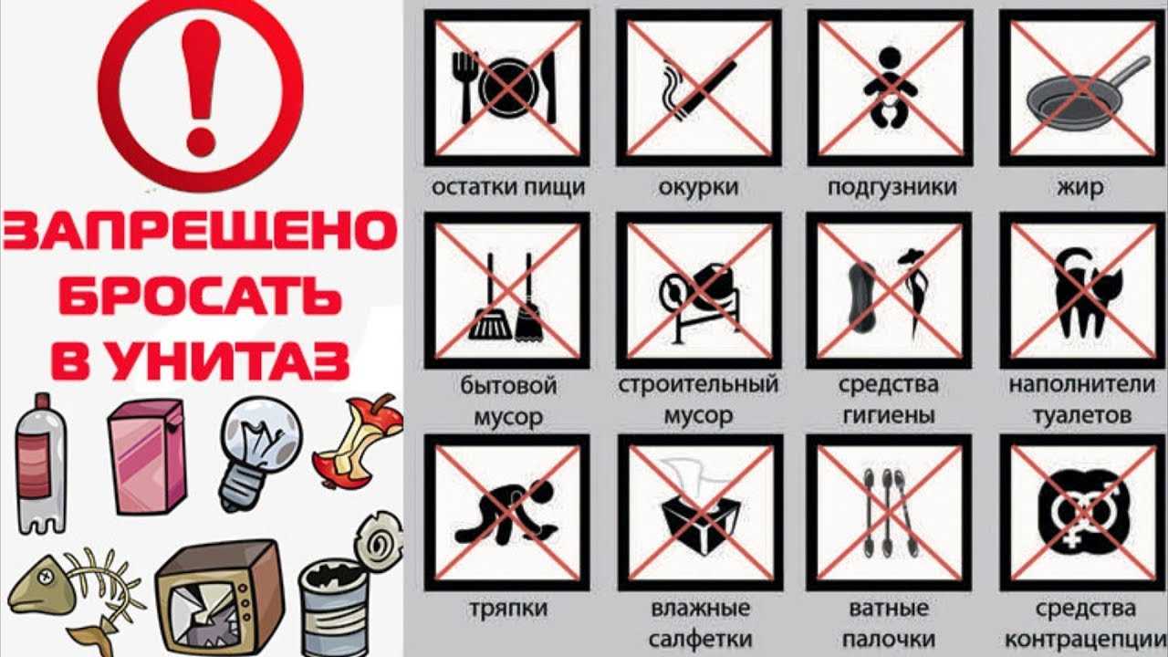 Пищевые отходы: 8 продуктов, которым не место в унитазе