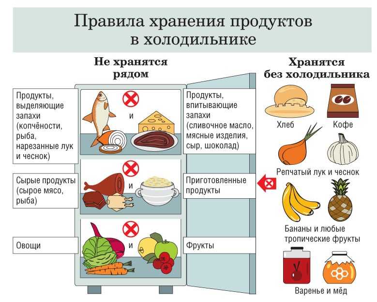 Советы, как перевезти замороженные продукты при переезде ⋆ грузчики в ярославле, переезды.