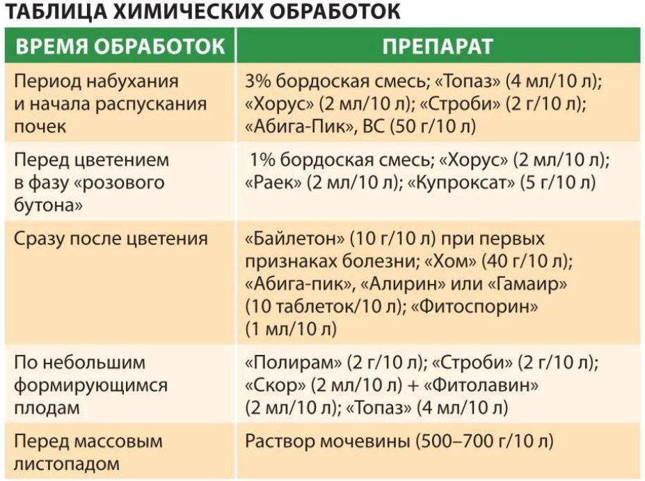 10 простых и доступных средств для защиты растений - prosad.ru всё про сад и огород