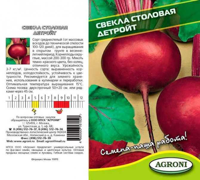 Лучшие сорта свеклы