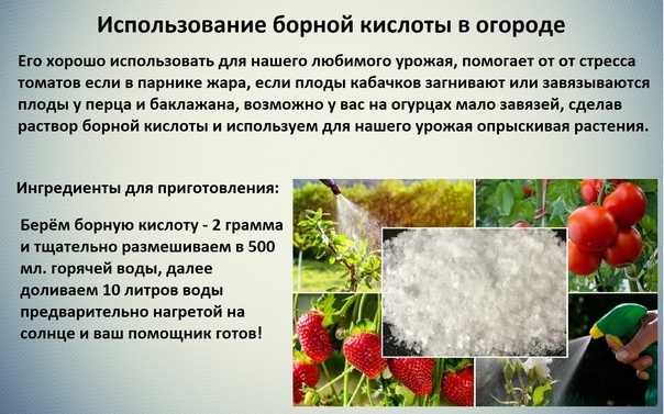 Борная кислота как удобрение для растений