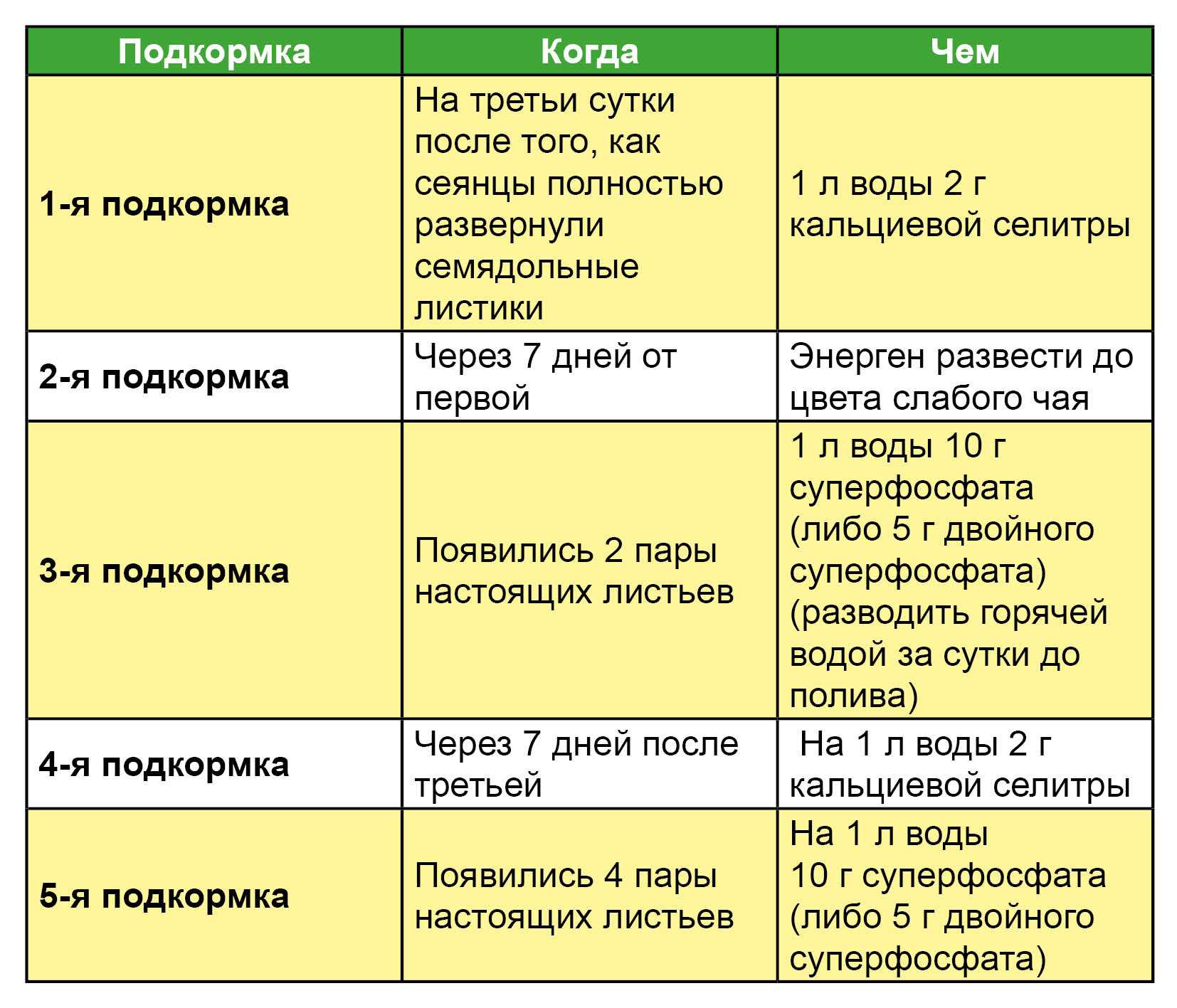 Что добавить при посадке томатов в лунку