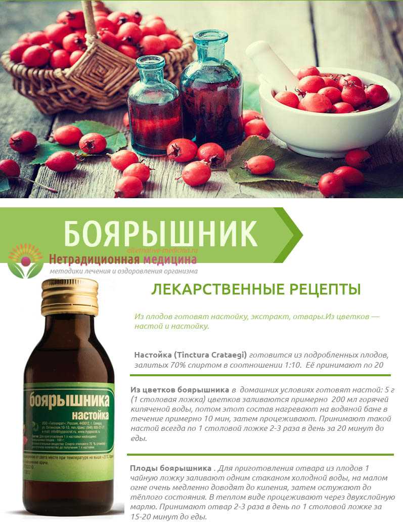Как использовать сушеный боярышник. как правильно заваривать сушеный боярышник | здоровье человека