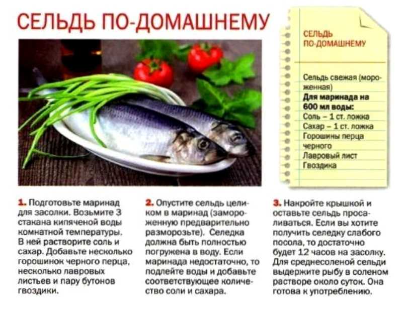 Все секреты правильной засолки и вяления рыбы в домашних условиях