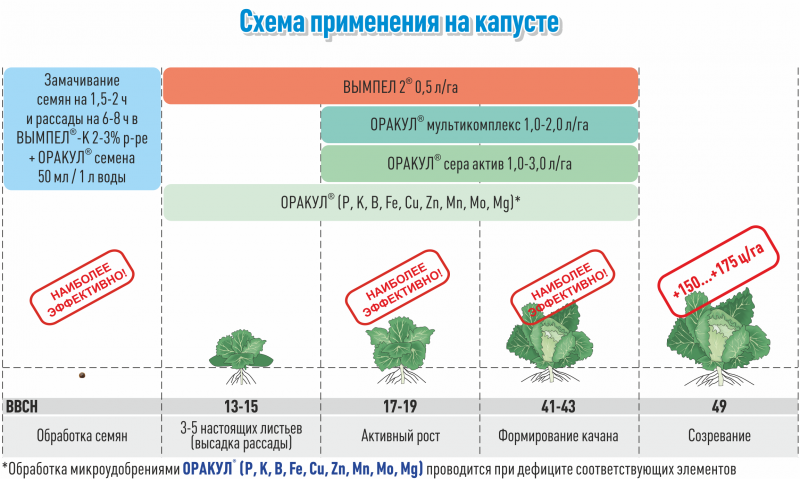 Стимуляторы корнеобразования — инструкция по применению