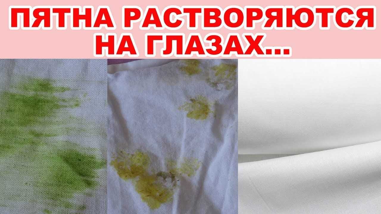 Как избавиться от плесени на одежде