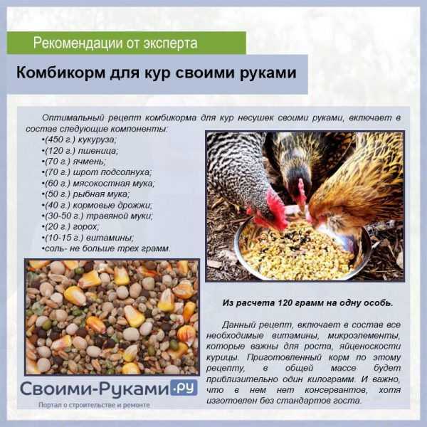 Будет ли нанесен организму вред, если съесть с хлебом плесень, появившуюся на нем