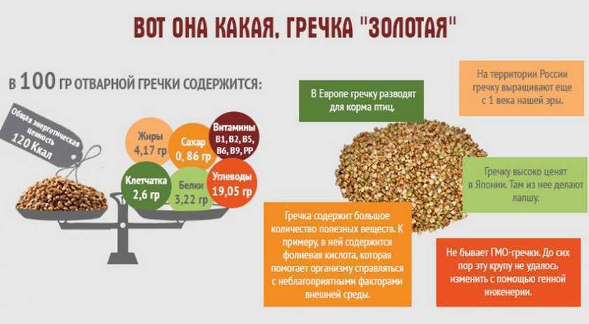 Из чего делают гречку, виды, калорийность, БЖУ и популярные блюда из гречневой крупы В чем разница между гречкой и гречихой