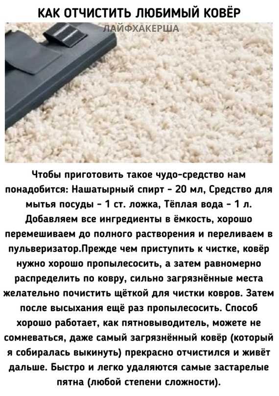 Как почистить ковер в домашних условиях