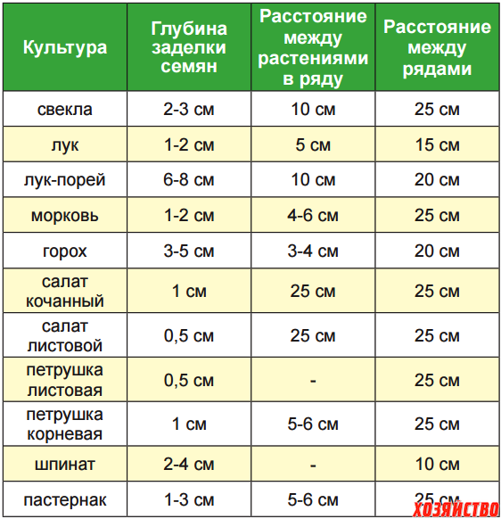 Что положить в лунки при посадке капусты белокочанной в открытый грунт, добавлять ли в ямки вещества, какие бросать, чем заправить землю, когда внести, как сыпать?