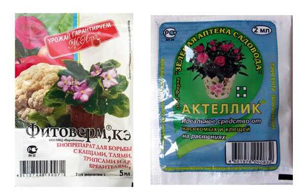 Как избавиться от мошек в цветах комнатных растений